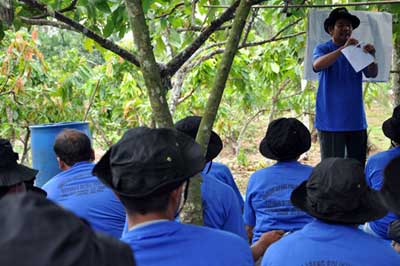 Sekolah Lapang Polikultur