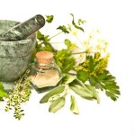 Produk Herbal dan Organik Tembus Pasar Eropa