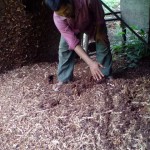 Kembali ke Alam Melalui Pertanian Organik