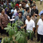 Menteri Lingkungan Hidup Tanam 6.000 Pohon
