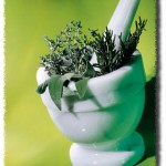 Peluncuran Perdana Puskesmas Herbal di Bogor