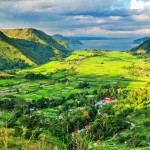 Petani Tobasa Kembangkan Padi Organik