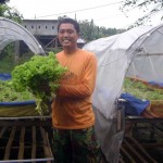Hidroponik dengan Sistem Pertanian Ramah Lingkungan