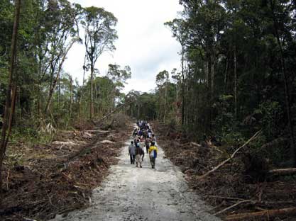 Warga Pandumaan dan Sipituhuta menuju Tombak Haminjon.