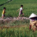 ToT ICS & PAMOR Indonesia: Tingkatkan Menjamen Organik Petani Kecil
