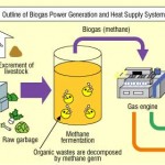 Dan Kotoranpun Bisa Jadi Energi