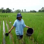 Membeli dari Petani Kecil, Membeli Produk Kejujuran