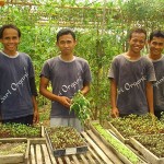 Ingin Lebih Gaul? Ayo, Peduli Lingkungan!