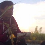 Olah Bangkai Tikus Jadi Pupuk, Anas Diundang ke Istana
