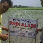 Penggunaan Lahan untuk Pertanian Organik Meningkat Tajam