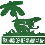 Logo-TCSS