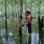 Banjir Akibat Hujan Panjang Resahkan Petani Karet Sei Lepan