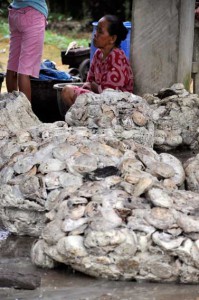 Petani karet  desa Mekar Makmur, Sei Lepan, Langkat, Sumut, terlihat murung, saat sedang menunggu agen pembeli karetnya.