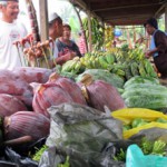 Tolak Rencana Eksekusi Terhadap Petani Padang Halaban