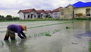 AlihFungsiLahan
