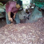 Pupuk Organik, Solusi Terbaik Pertanian