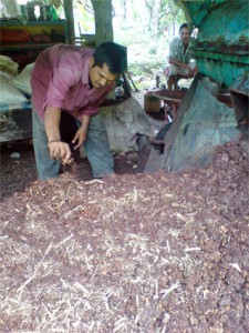Pupuk-Organik-(Kompos)