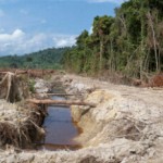Perkebunan Kelapa Sawit Mengancam Kualitas Air Tawar