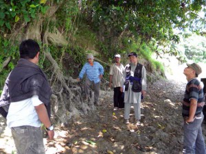 Kepala Desa Stabat Lama (topi putih) menunjukkan pohon Jabi-jabi sebagai tanaman lokal yang akarnya mampu menahan erosi tebing sungai, pada Tim Riset Konservasi Sungai Wampu,
