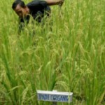 Akses Rakyat Sulit, Korporasi Mudah
