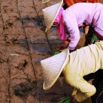Menyuarakan Kedaulatan Pangan ke Masyarakat Perkotaan