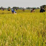 Agraria, Pangan dan Pertahanan Negara