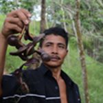 Lebih Untung, Petani pun Melirik Jengkol