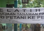 MK Tegaskan Pemuliaan Tanaman oleh Petani Kecil Tak Perlu Izin