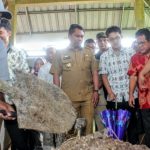 Transformasi Pusat Pelatihan Integrasi Ternak Sapi Organik Hibah dari Jepang