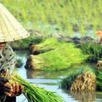 Saatnya Peduli Nasib Petani
