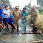 Mina Padi Perlu Terus Didorong