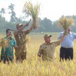 Mina Padi yang Membuat Petani Sergai Tersenyum, Mengapa?