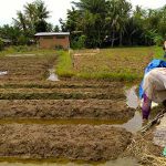 Peringatan Hari Tani, Momen Selesaikan Lahan Petani yang Hilang