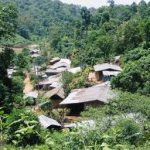 Perempuan Bersyukur Adanya Hutan Desa, “Lanang Kami Tidak Pergi Merantau”