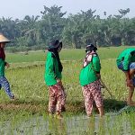 SL POSA Antisipasi Bahaya Kimia Pertanian bagi Manusia