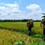 Desa Pendua, Desa Model Daulat Pangan Lombok Utara