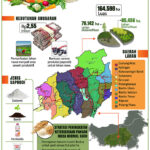 Koalisi Masyarakat Sipil Tolak Program ”Food Estate” di Kalteng