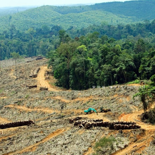 Adaptasi Perubahan Iklim Berbasis Komunitas