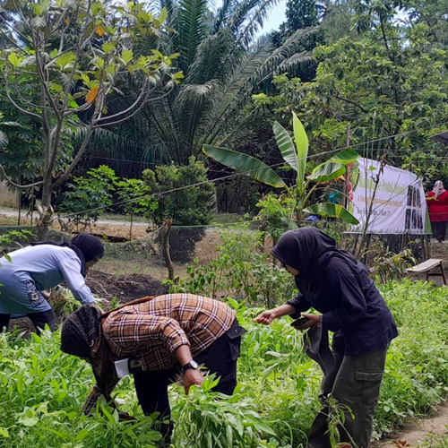Penguatan Ekonomi Perempuan Desa