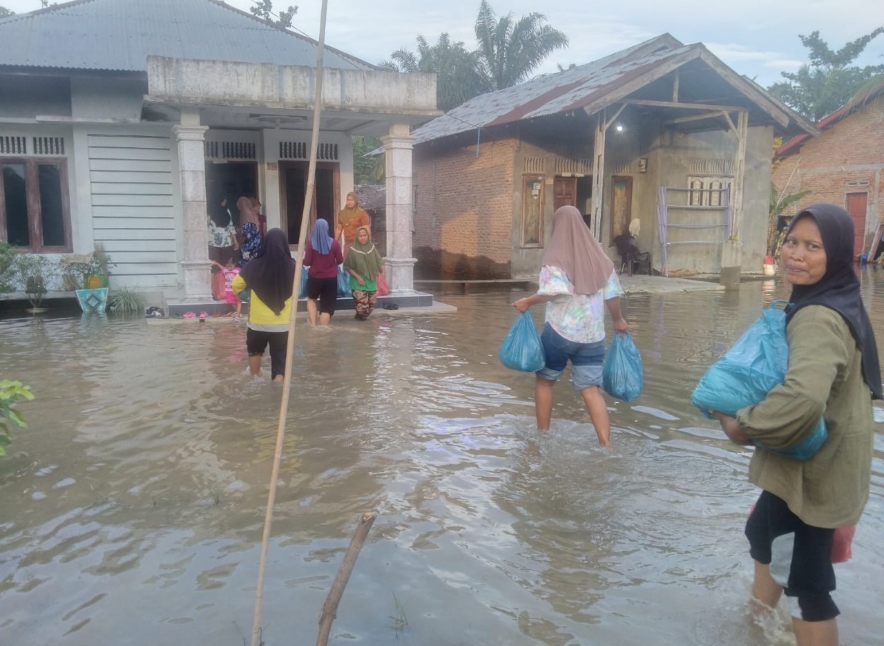 Banjir Sumatera: Luka Kolektif, Solidaritas Nyata