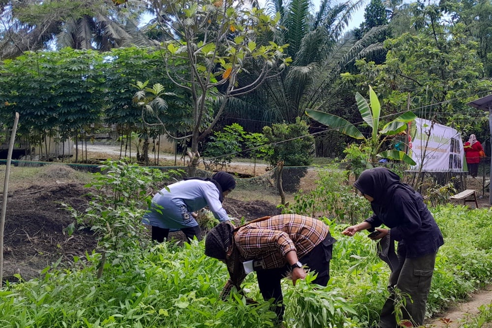 Desa Kebun Kelapa di Langkat Bakal Jadi Destinasi Wisata