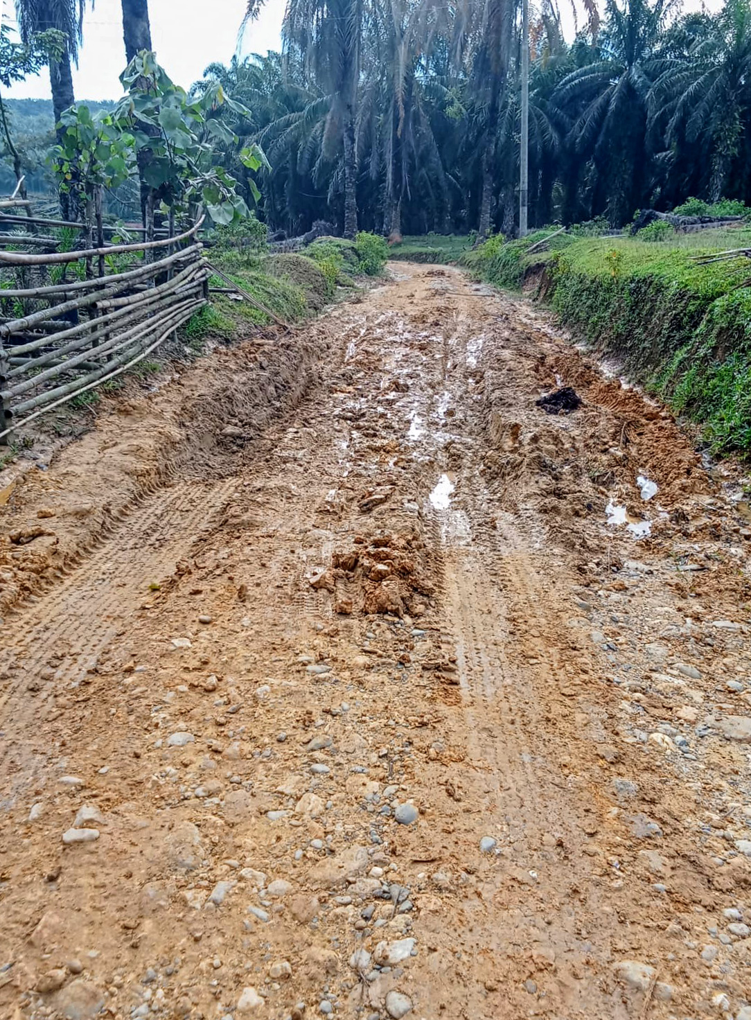 Hujan Deras Rusak Jalan Utama Desa Mekar Makmur, Aktivitas Warga Terganggu