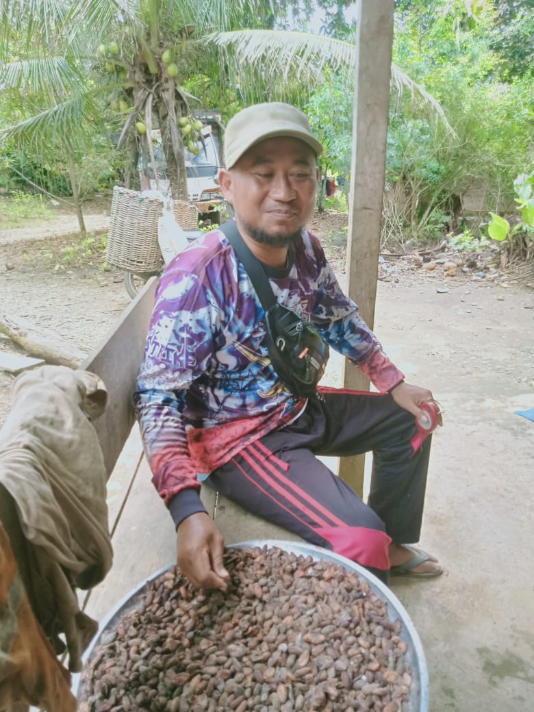 Petani Coklat Damar Hitam Terhimpit Harga Anjlok